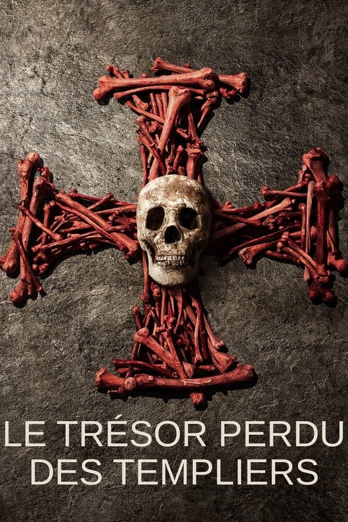 Pasuria Piratë e Templarëve poster