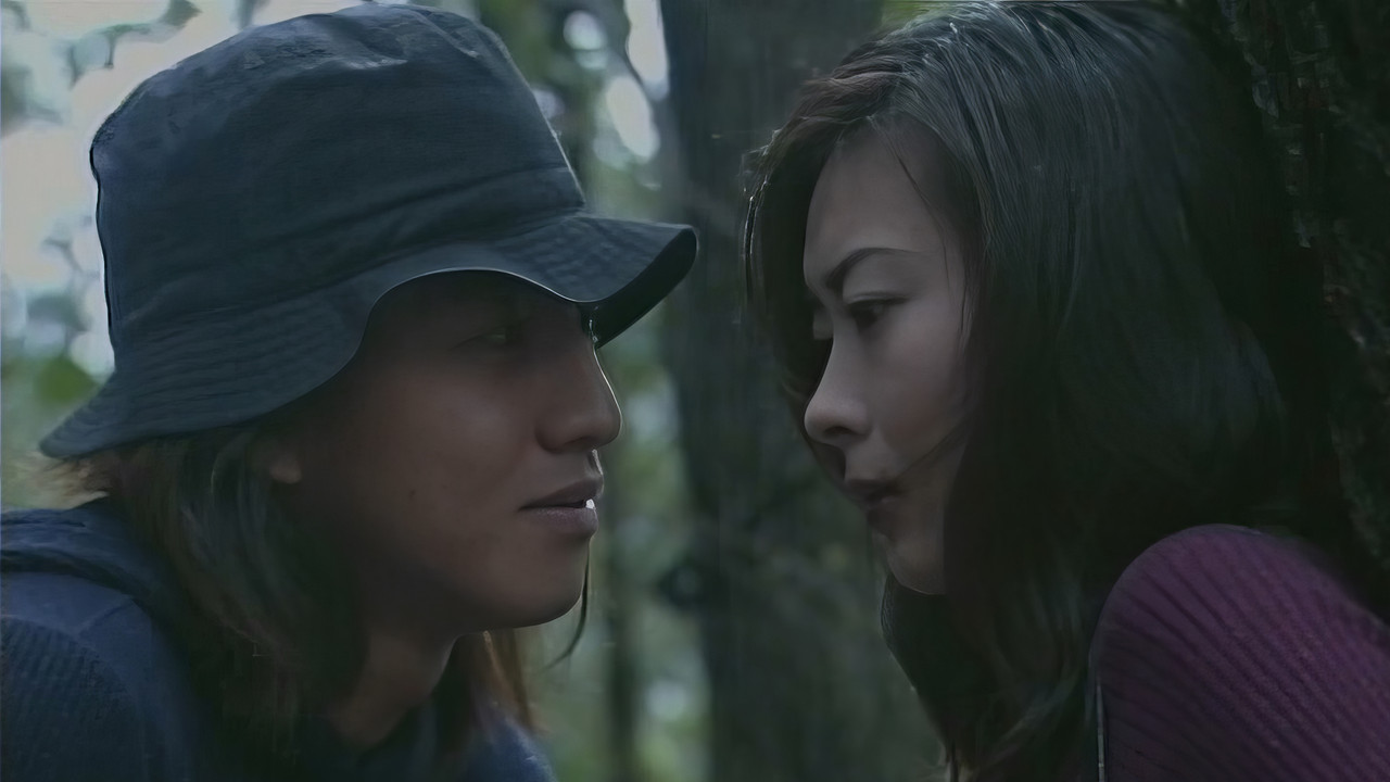 Një Pyll i Fjetur backdrop