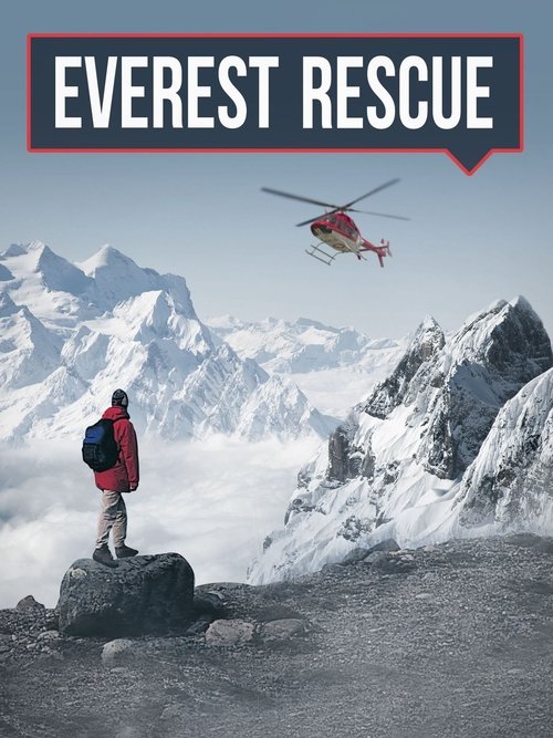 Shpëtimi në Everest poster