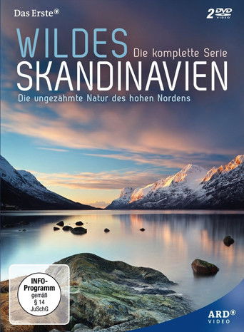 Skëterr Scandinavia