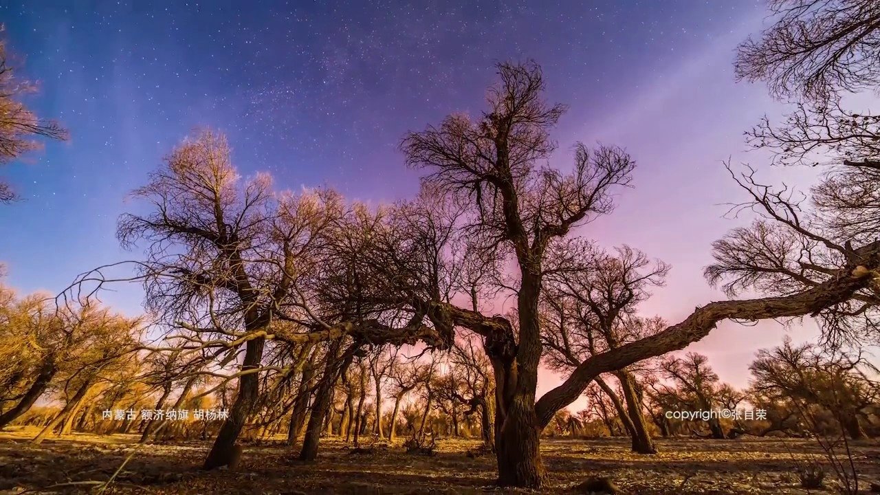 China in Motion can be translated to Albanian as Kina në Lëvizje backdrop