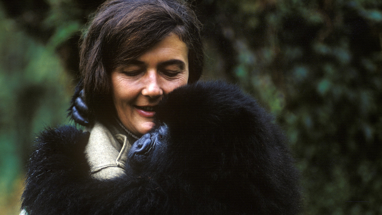 Dian Fossey: Secrets in the Mist backdrop