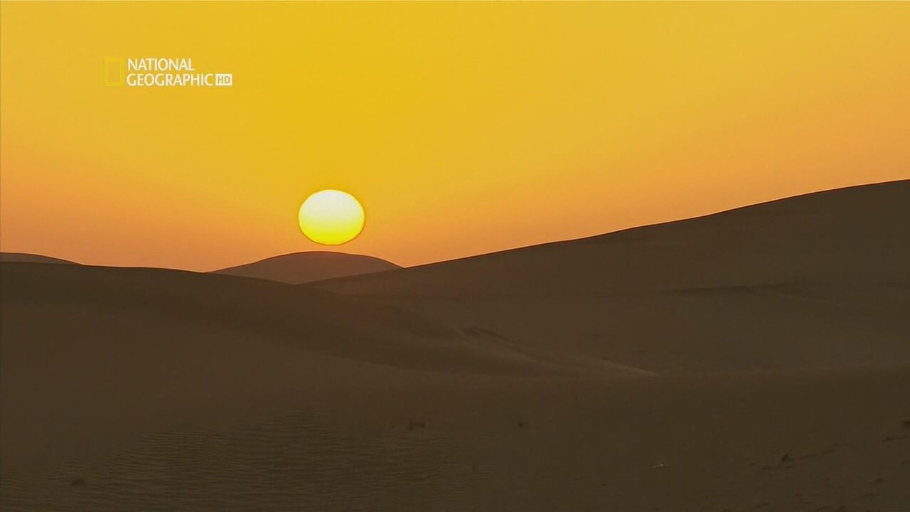 I humbje në Kinë backdrop