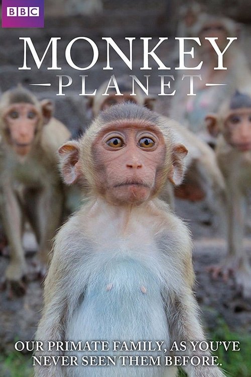 Planeti i Majmunëve poster