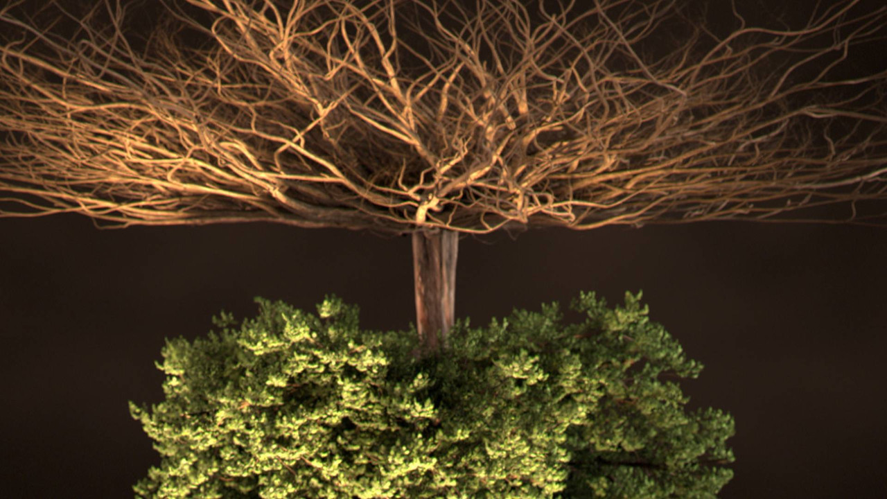 Jeta Sekrete Nën Tokë backdrop