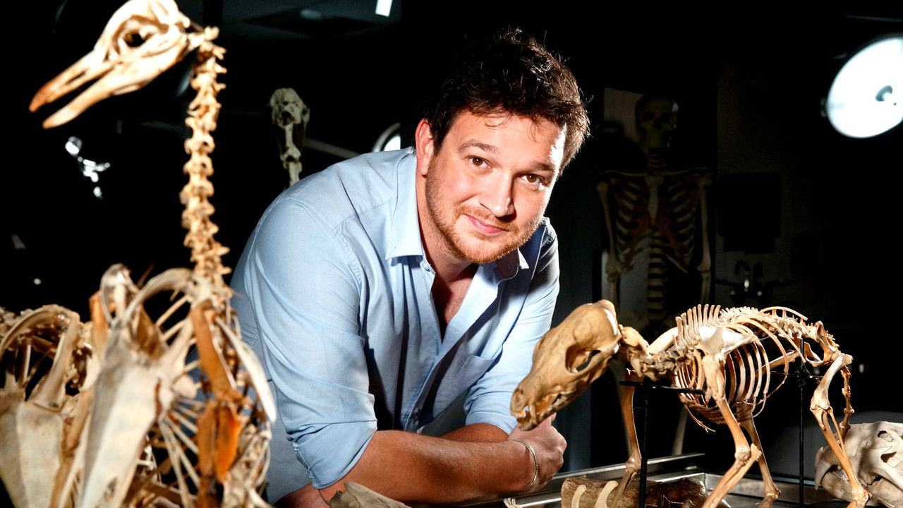 Sekretet e Kockave backdrop