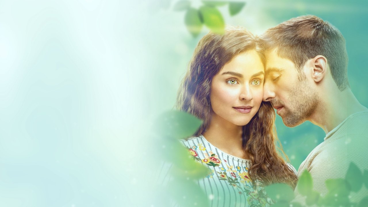 Pa shikimin tënd backdrop