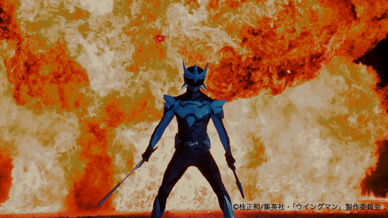 Shok fluturues backdrop