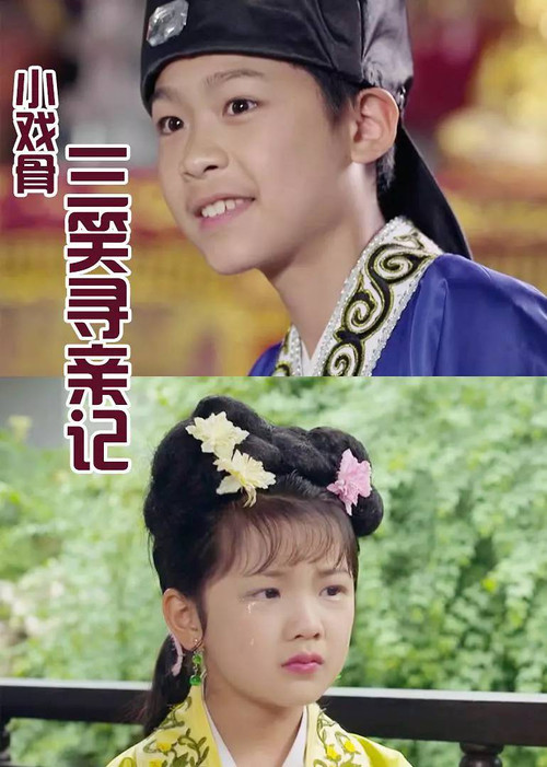 Këngëtarët e Vegjël: Historia e Kërkimit për Familjen poster