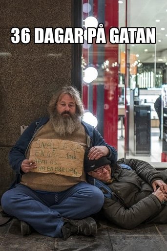 36 ditë në rrugë