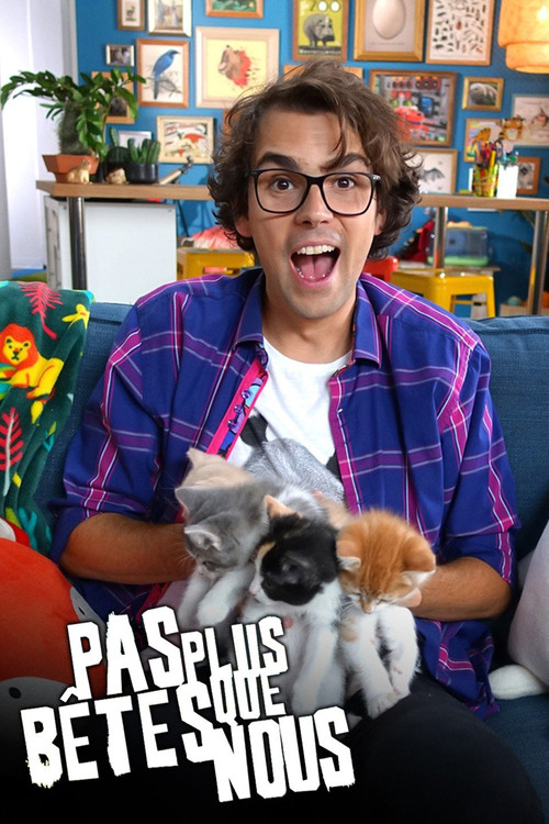 Më budallenj se ne poster