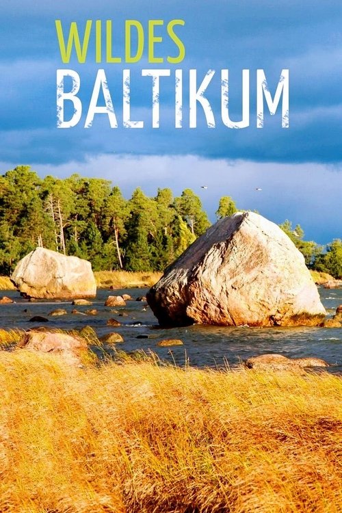 Baltiku i Egër poster