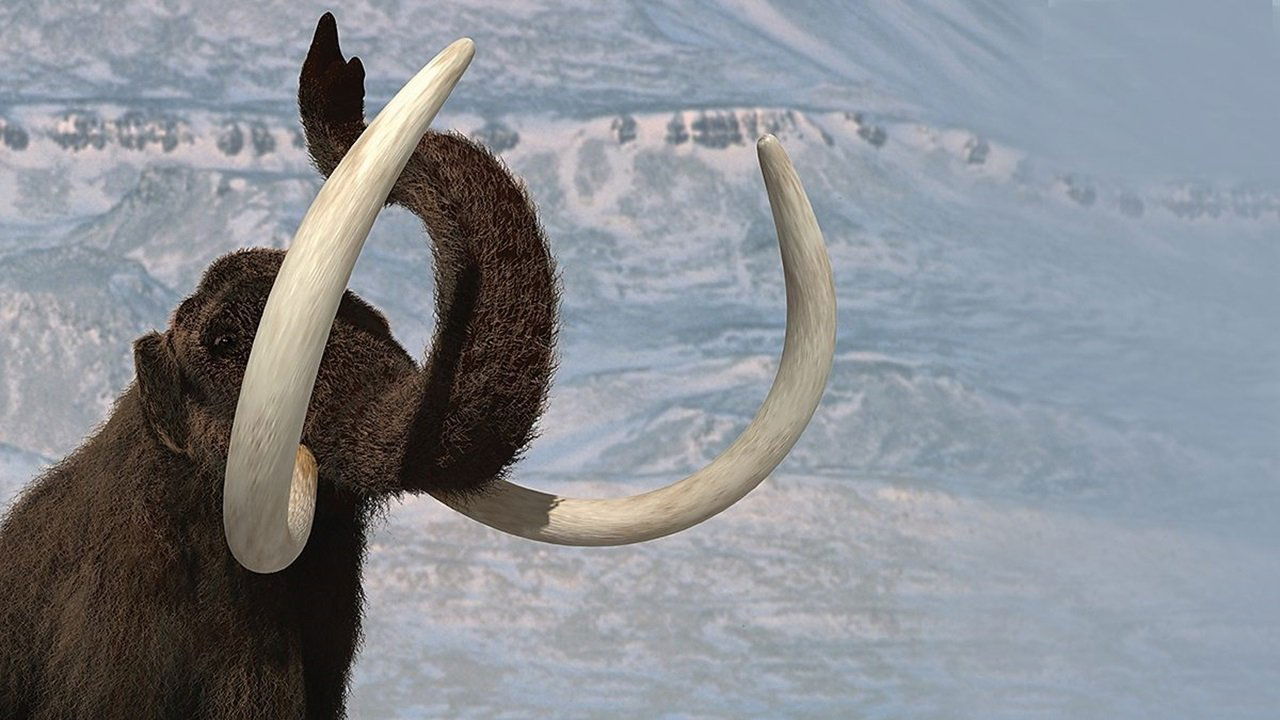 Bota e Re e Egër backdrop