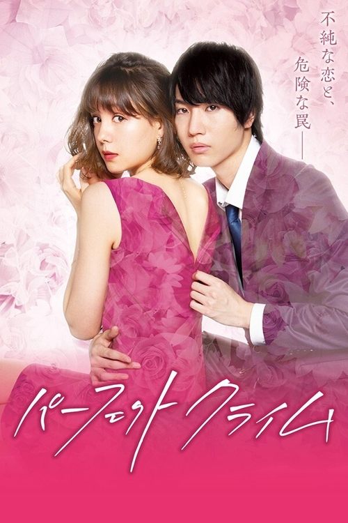 Krimi i Perfektë poster