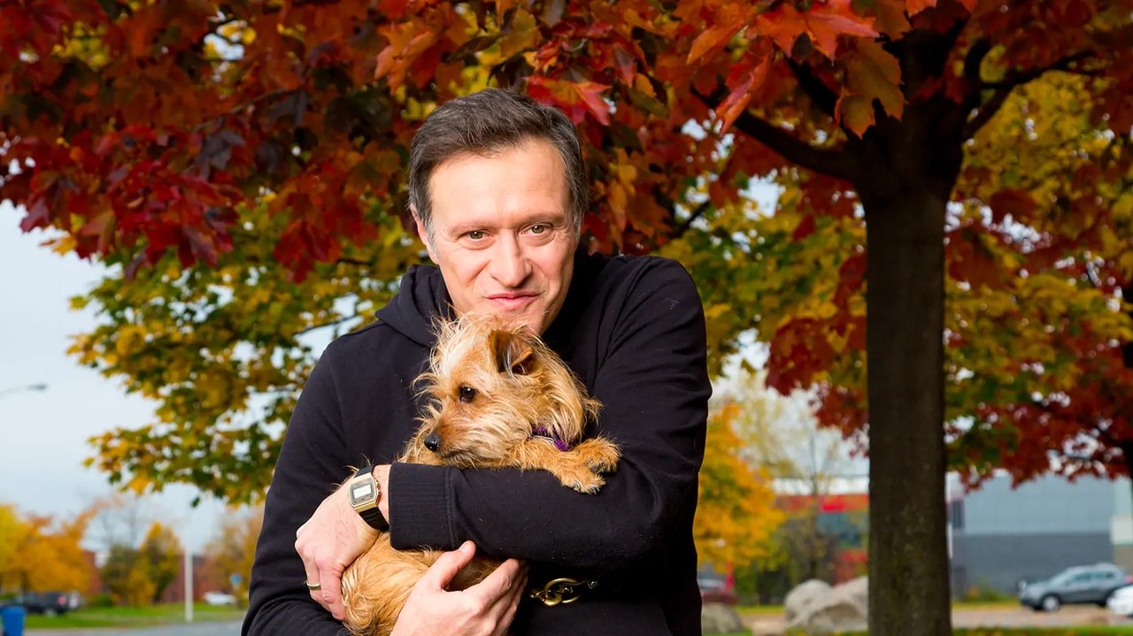 Strehimi i Kafshëve backdrop