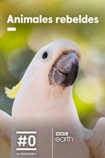 Kafshët e rebeluara