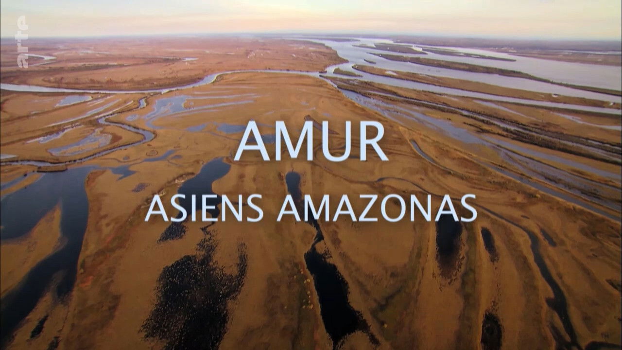 Amur: Amazonia e Azisë backdrop