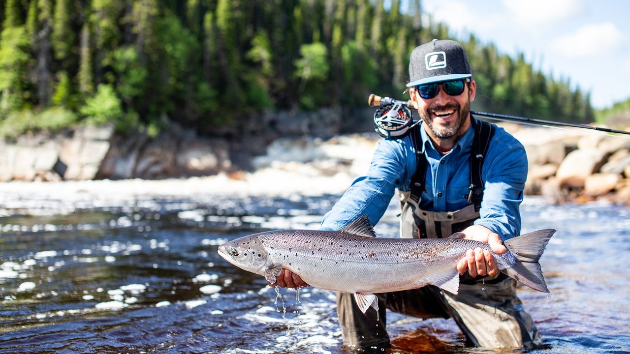 The title Hooké remains the same in Albanian as it is a proper name backdrop