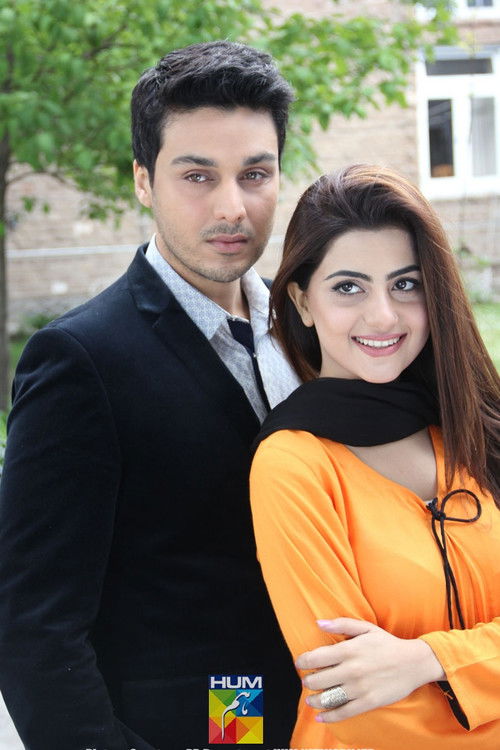 Hëna e Humbur poster