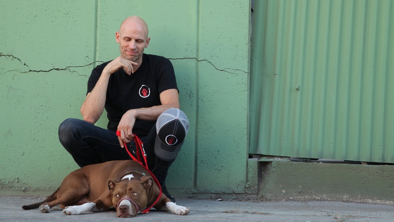 Qeni i Pashmangshëm backdrop