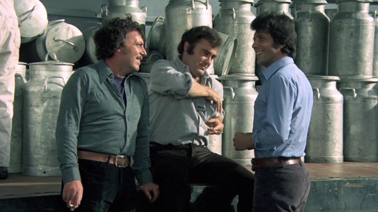 Kamionerët backdrop