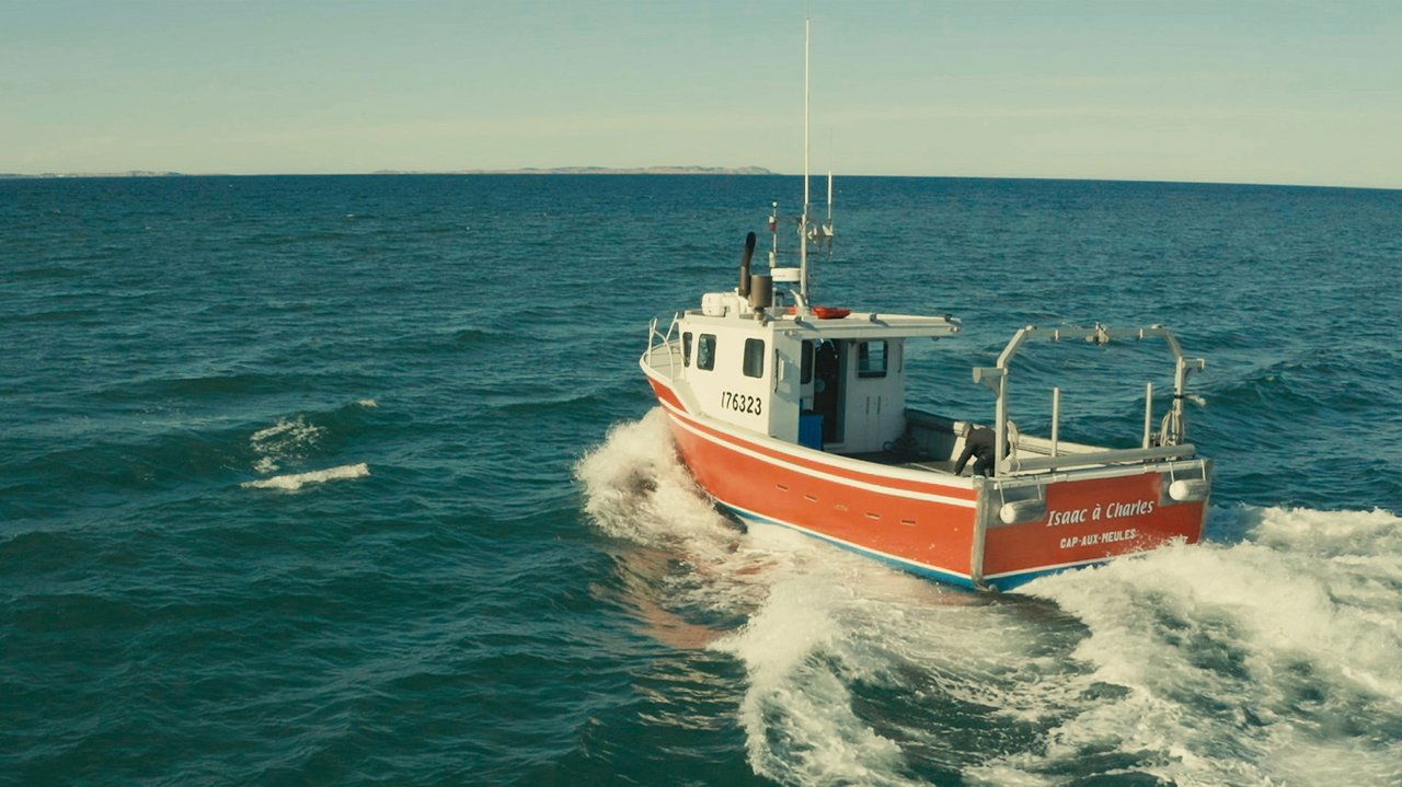 Garë e çmendur backdrop