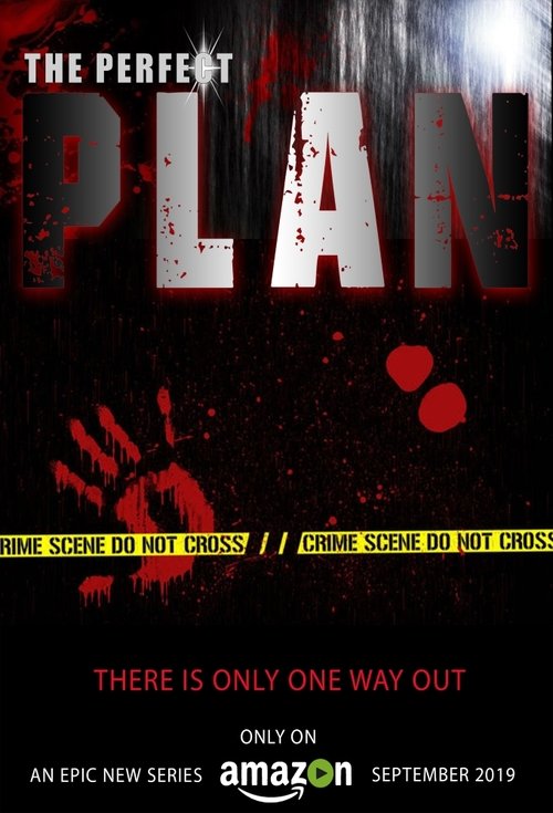 Plani Perfect poster