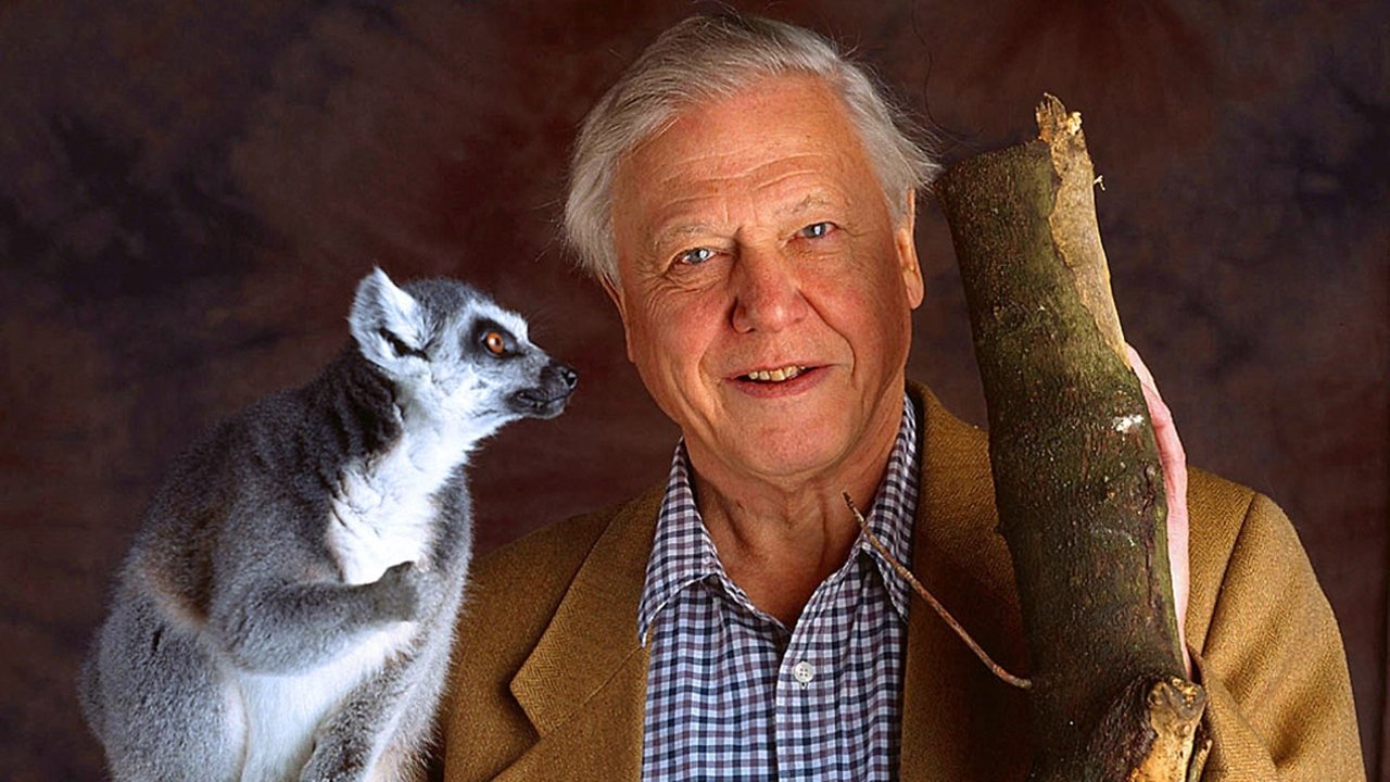 Jeta e Mamifereve backdrop