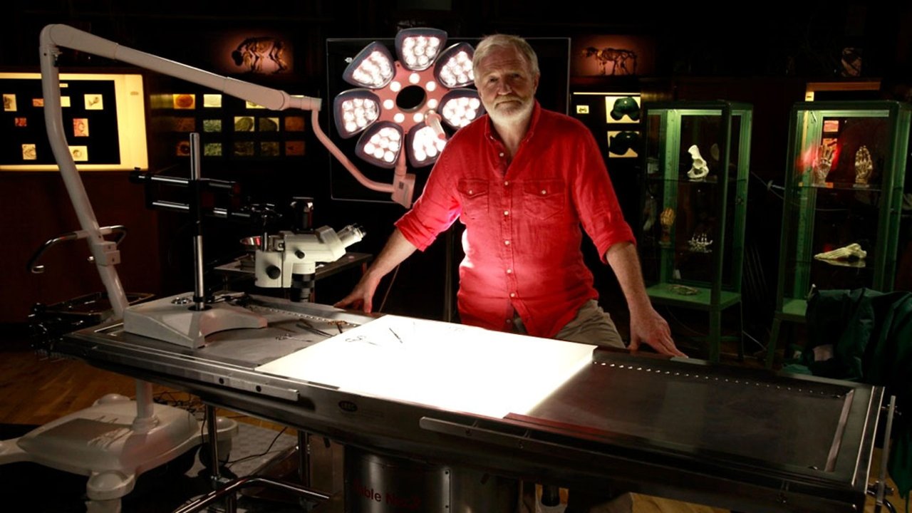 Shfaqja e Madhe e Michael McIntyre backdrop