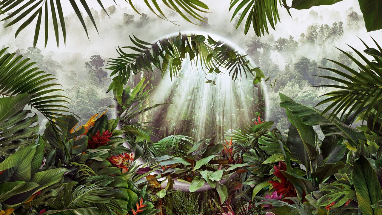 Planeti i Gjelbër backdrop