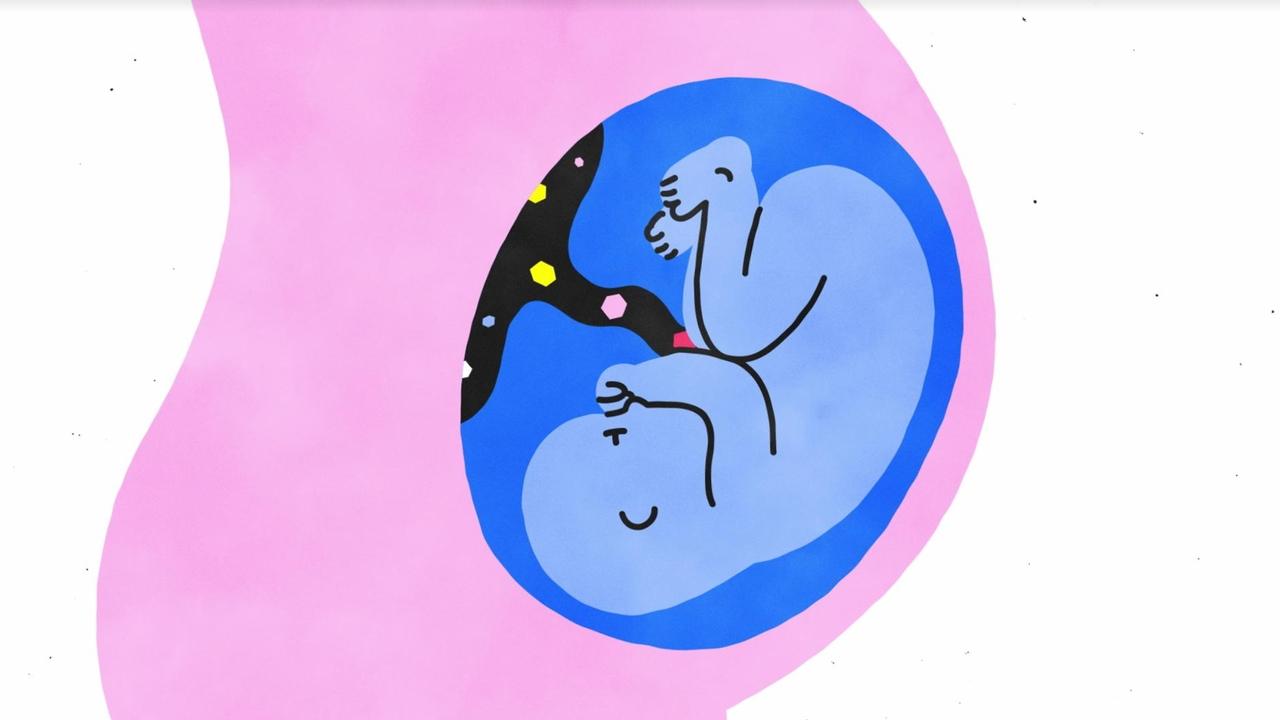 Seksi, Shpjeguar backdrop