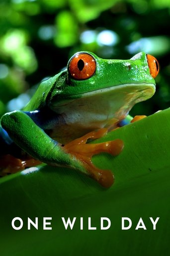 Kafshët Ekstreme: Një Ditë e Egër