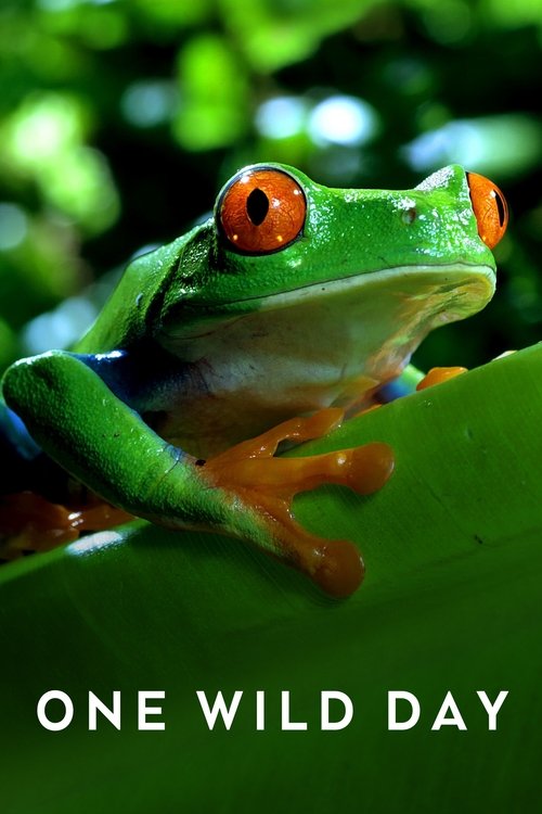 Kafshët Ekstreme: Një Ditë e Egër poster