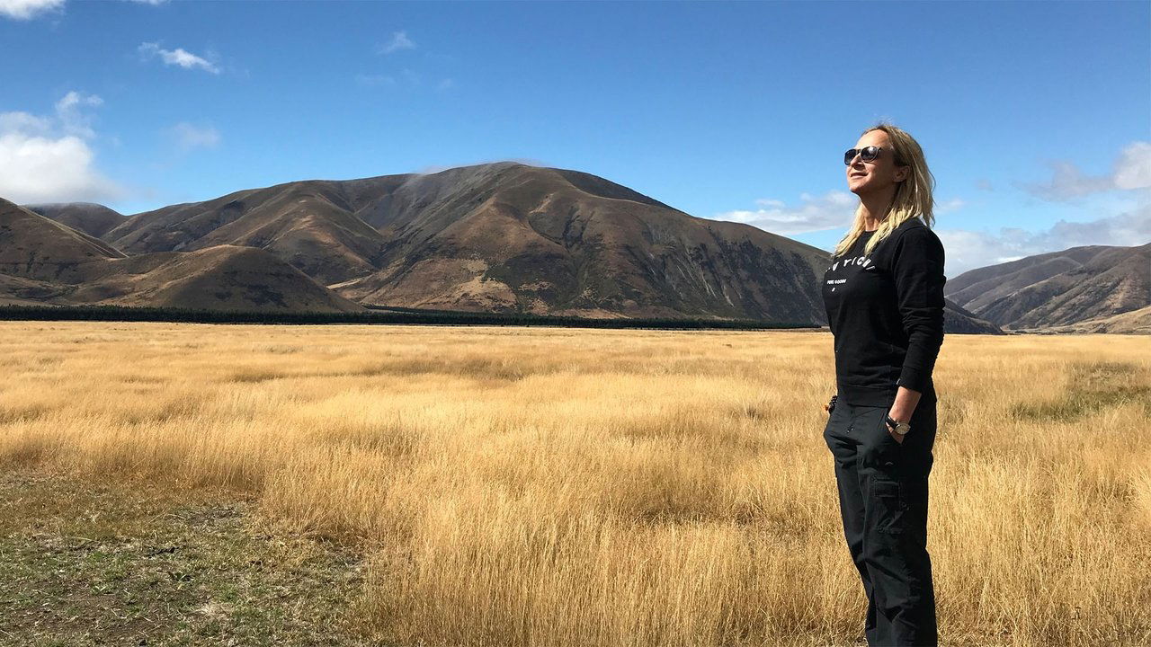 Princesha e lodhur në Kështjellën e Djajve backdrop