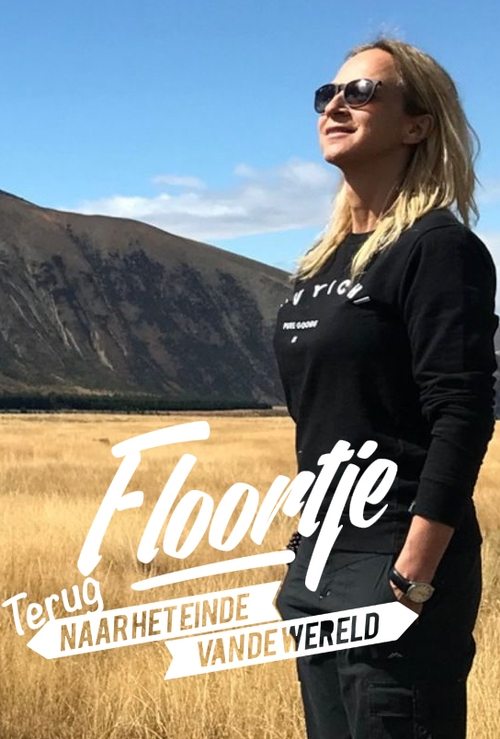 Princesha e lodhur në Kështjellën e Djajve poster