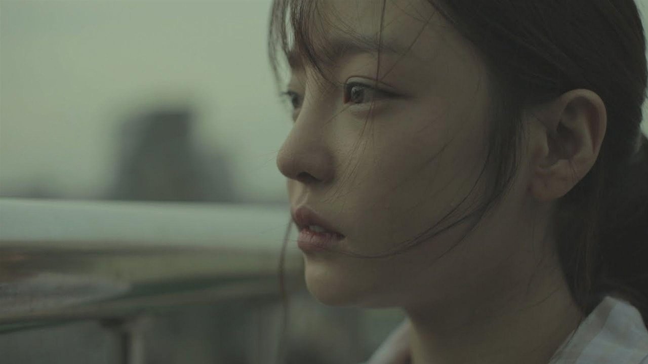 Ditarët e Julies backdrop