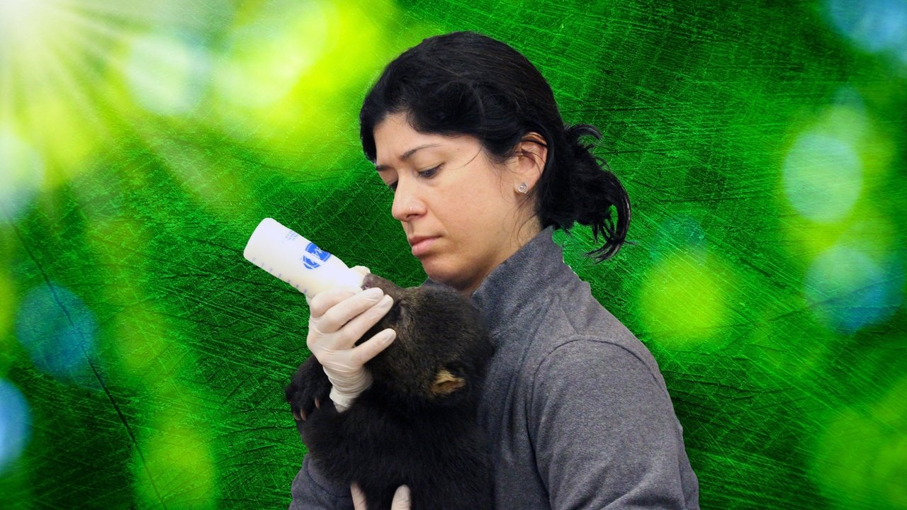 Sekretet e Kopshtit Zoologjik: Tampa backdrop