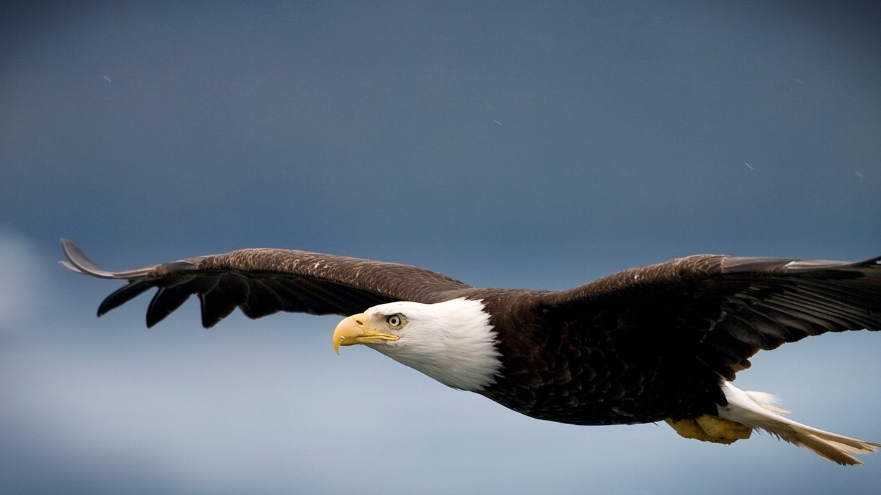 Mathieu Corot backdrop