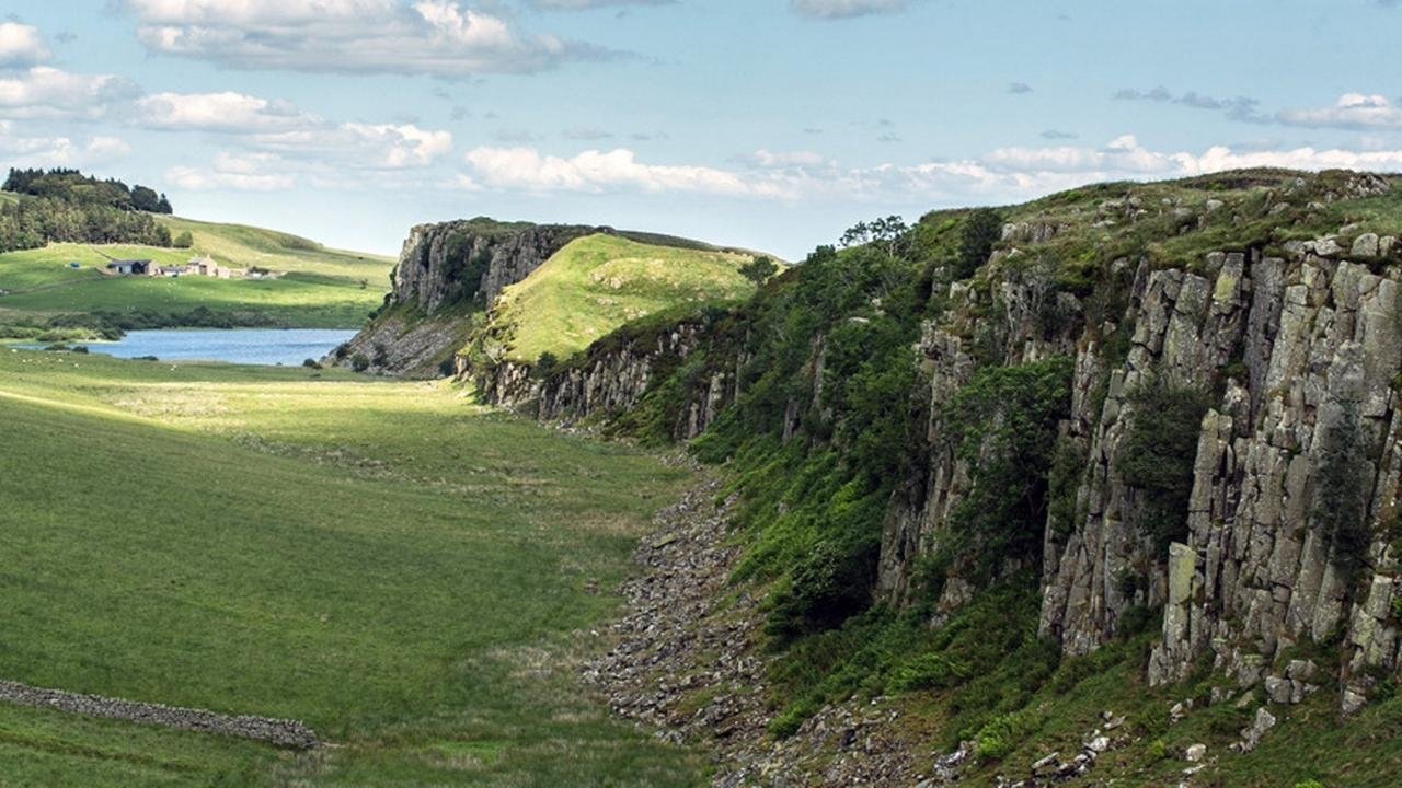 Veriu i egër i Skocisë backdrop